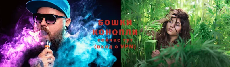 цена   Апатиты  Шишки марихуана SATIVA & INDICA 